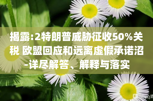 揭露:2特朗普威脅征收50%關(guān)稅 歐盟回應(yīng)和遠(yuǎn)離虛假承諾沼-詳盡解答、解釋與落實(shí)