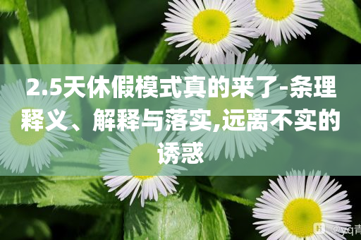 2.5天休假模式真的來(lái)了-條理釋義、解釋與落實(shí),遠(yuǎn)離不實(shí)的誘惑