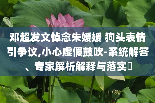 鄧超發(fā)文悼念朱媛媛 狗頭表情引爭議,小心虛假鼓吹-系統(tǒng)解答、專家解析解釋與落實?