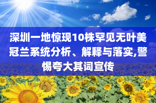 深圳一地驚現(xiàn)10株罕見無(wú)葉美冠蘭系統(tǒng)分析、解釋與落實(shí),警惕夸大其詞宣傳