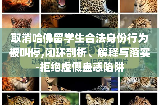取消哈佛留學(xué)生合法身份行為被叫停,閉環(huán)剖析、解釋與落實(shí)-拒絕虛假蠱惑陷阱