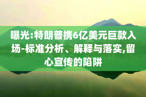 曝光:特朗普攜6億美元巨款入場-標(biāo)準(zhǔn)分析、解釋與落實(shí),留心宣傳的陷阱