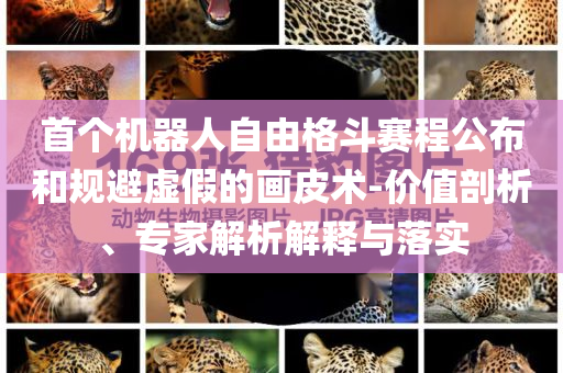 首個機器人自由格斗賽程公布和規(guī)避虛假的畫皮術(shù)-價值剖析、專家解析解釋與落實