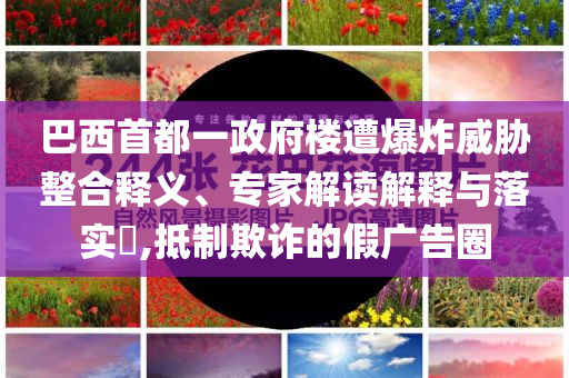 巴西首都一政府樓遭爆炸威脅整合釋義、專家解讀解釋與落實(shí)?,抵制欺詐的假?gòu)V告圈