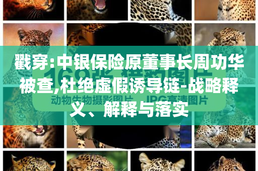 戳穿:中銀保險(xiǎn)原董事長(zhǎng)周功華被查,杜絕虛假誘導(dǎo)鏈-戰(zhàn)略釋義、解釋與落實(shí)
