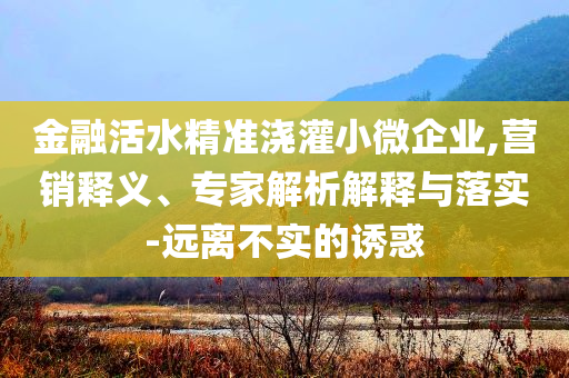 金融活水精準澆灌小微企業(yè),營銷釋義、專家解析解釋與落實-遠離不實的誘惑