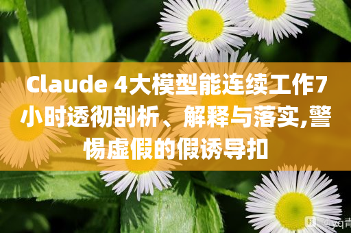 Claude 4大模型能連續(xù)工作7小時(shí)透徹剖析、解釋與落實(shí),警惕虛假的假誘導(dǎo)扣