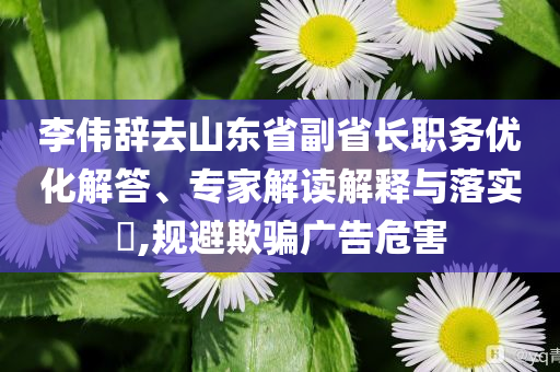 李偉辭去山東省副省長職務(wù)優(yōu)化解答、專家解讀解釋與落實?,規(guī)避欺騙廣告危害