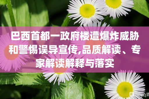 巴西首都一政府樓遭爆炸威脅和警惕誤導宣傳,品質(zhì)解讀、專家解讀解釋與落實