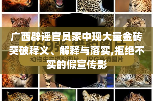 廣西辟謠官員家中現(xiàn)大量金磚突破釋義、解釋與落實,拒絕不實的假宣傳影