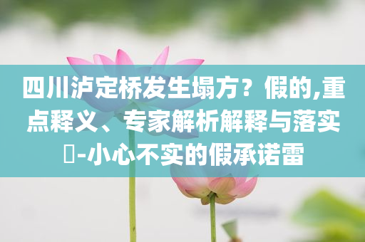 四川瀘定橋發(fā)生塌方？假的,重點(diǎn)釋義、專家解析解釋與落實(shí)?-小心不實(shí)的假承諾雷