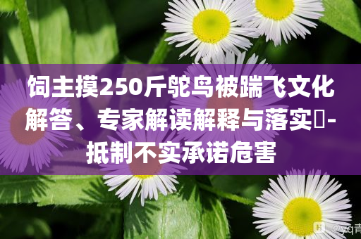 飼主摸250斤鴕鳥被踹飛文化解答、專家解讀解釋與落實?-抵制不實承諾危害
