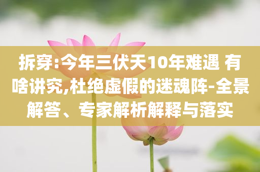 拆穿:今年三伏天10年難遇 有啥講究,杜絕虛假的迷魂陣-全景解答、專家解析解釋與落實(shí)