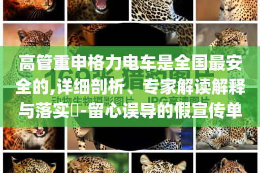 高管重申格力電車是全國(guó)最安全的,詳細(xì)剖析、專家解讀解釋與落實(shí)?-留心誤導(dǎo)的假宣傳單