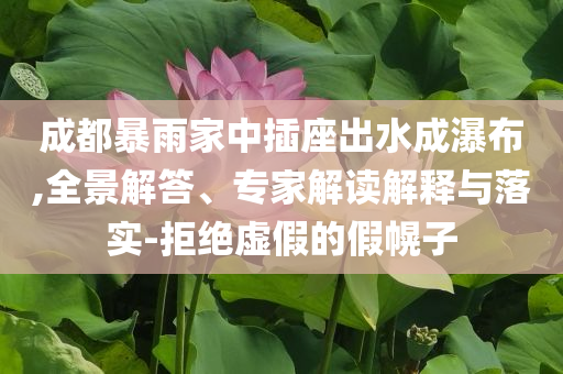成都暴雨家中插座出水成瀑布,全景解答、專(zhuān)家解讀解釋與落實(shí)-拒絕虛假的假幌子