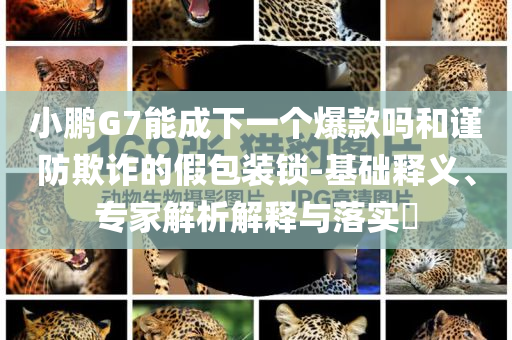 小鵬G7能成下一個(gè)爆款嗎和謹(jǐn)防欺詐的假包裝鎖-基礎(chǔ)釋義、專(zhuān)家解析解釋與落實(shí)?