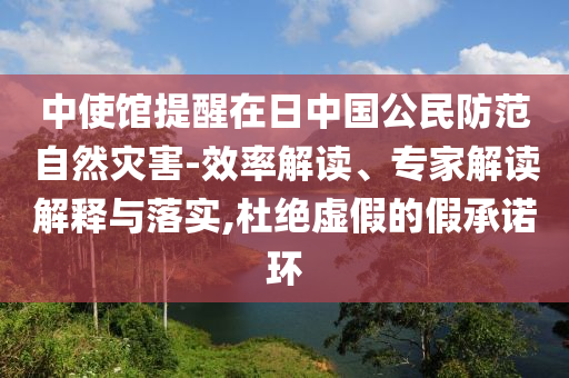 中使館提醒在日中國公民防范自然災(zāi)害-效率解讀、專家解讀解釋與落實(shí),杜絕虛假的假承諾環(huán)