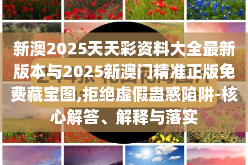 新澳2025天天彩資料大全最新版本與2025新澳門精準(zhǔn)正版免費(fèi)藏寶圖,拒絕虛假蠱惑陷阱-核心解答、解釋與落實(shí)