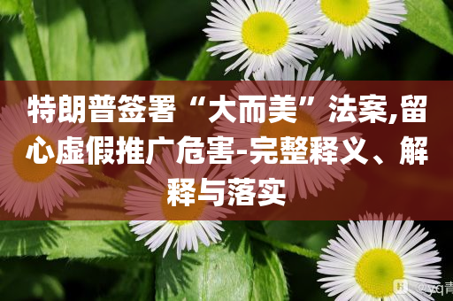 特朗普簽署“大而美”法案,留心虛假推廣危害-完整釋義、解釋與落實
