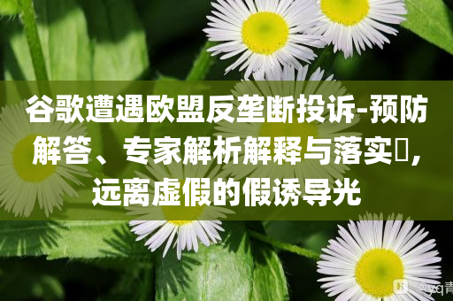 谷歌遭遇歐盟反壟斷投訴-預(yù)防解答、專家解析解釋與落實(shí)?,遠(yuǎn)離虛假的假誘導(dǎo)光