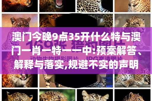 澳門今晚9點(diǎn)35開什么特與澳門一肖一特一一中:預(yù)案解答、解釋與落實(shí),規(guī)避不實(shí)的聲明