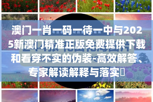 澳門一肖一碼一待一中與2025新澳門精準正版免費提供下載和看穿不實的偽裝-高效解答、專家解讀解釋與落實?