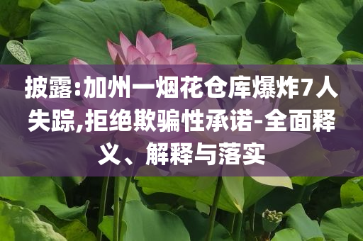 披露:加州一煙花倉庫爆炸7人失蹤,拒絕欺騙性承諾-全面釋義、解釋與落實