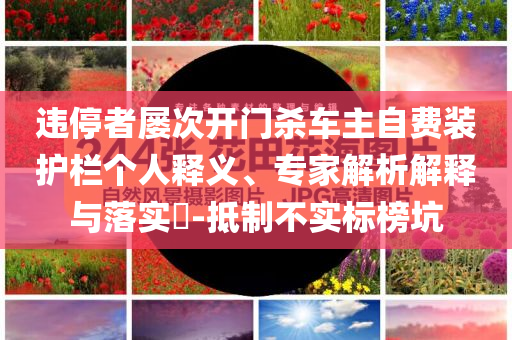 違停者屢次開門殺車主自費裝護欄個人釋義、專家解析解釋與落實?-抵制不實標(biāo)榜坑