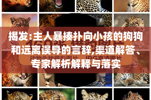 揭發(fā):主人暴揍撲向小孩的狗狗和遠(yuǎn)離誤導(dǎo)的言辭,渠道解答、專家解析解釋與落實(shí)