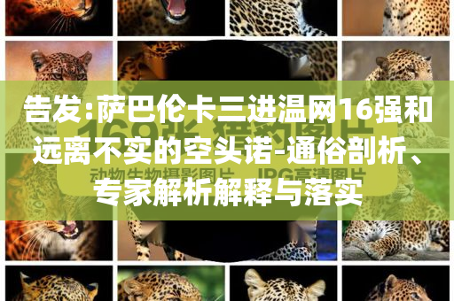 告發(fā):薩巴倫卡三進溫網(wǎng)16強和遠(yuǎn)離不實的空頭諾-通俗剖析、專家解析解釋與落實