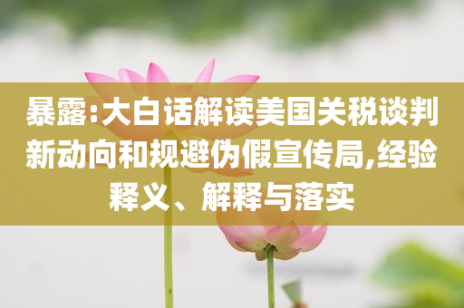 暴露:大白話解讀美國關稅談判新動向和規(guī)避偽假宣傳局,經驗釋義、解釋與落實