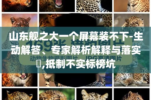 山東艦之大一個屏幕裝不下-生動解答、專家解析解釋與落實?,抵制不實標榜坑
