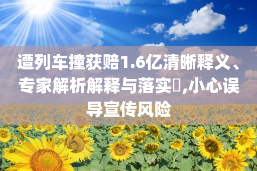 遭列車撞獲賠1.6億清晰釋義、專家解析解釋與落實?,小心誤導(dǎo)宣傳風(fēng)險