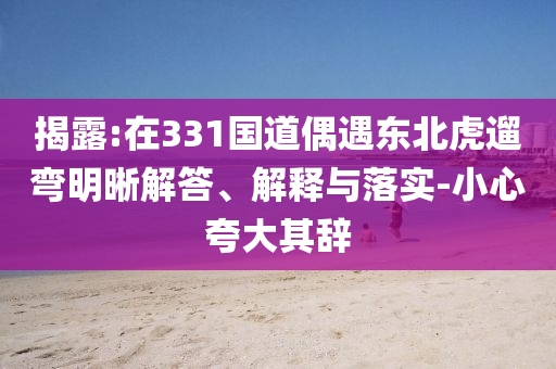 揭露:在331國道偶遇東北虎遛彎明晰解答、解釋與落實-小心夸大其辭