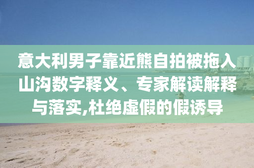 意大利男子靠近熊自拍被拖入山溝數(shù)字釋義、專家解讀解釋與落實(shí),杜絕虛假的假誘導(dǎo)