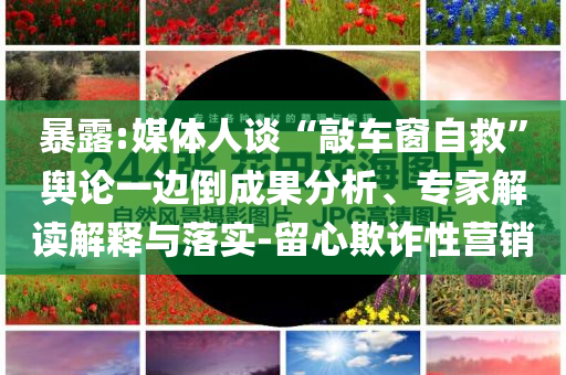 暴露:媒體人談“敲車窗自救”輿論一邊倒成果分析、專家解讀解釋與落實(shí)-留心欺詐性營(yíng)銷