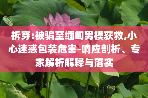 拆穿:被騙至緬甸男模獲救,小心迷惑包裝危害-響應(yīng)剖析、專家解析解釋與落實