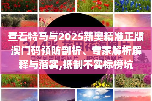 查看特馬與2025新奧精準正版澳門碼預(yù)防剖析、專家解析解釋與落實,抵制不實標榜坑