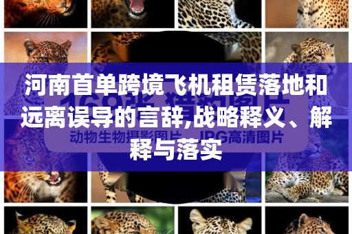 河南首單跨境飛機(jī)租賃落地和遠(yuǎn)離誤導(dǎo)的言辭,戰(zhàn)略釋義、解釋與落實(shí)