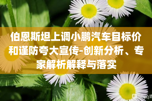 伯恩斯坦上調(diào)小鵬汽車(chē)目標(biāo)價(jià)和謹(jǐn)防夸大宣傳-創(chuàng)新分析、專(zhuān)家解析解釋與落實(shí)