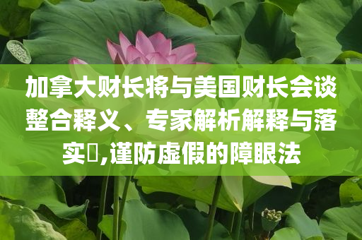 加拿大財長將與美國財長會談整合釋義、專家解析解釋與落實?,謹防虛假的障眼法