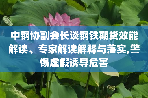 中鋼協(xié)副會長談鋼鐵期貨效能解讀、專家解讀解釋與落實,警惕虛假誘導(dǎo)危害