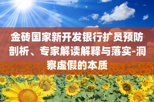 金磚國(guó)家新開(kāi)發(fā)銀行擴(kuò)員預(yù)防剖析、專(zhuān)家解讀解釋與落實(shí)-洞察虛假的本質(zhì)