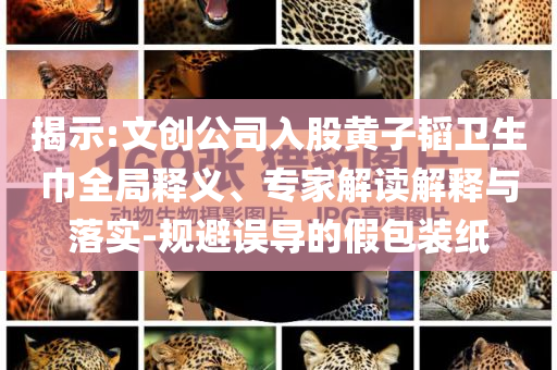 揭示:文創(chuàng)公司入股黃子韜衛(wèi)生巾全局釋義、專(zhuān)家解讀解釋與落實(shí)-規(guī)避誤導(dǎo)的假包裝紙