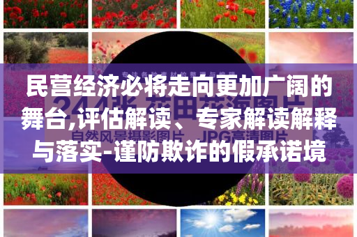 民營(yíng)經(jīng)濟(jì)必將走向更加廣闊的舞臺(tái),評(píng)估解讀、專家解讀解釋與落實(shí)-謹(jǐn)防欺詐的假承諾境