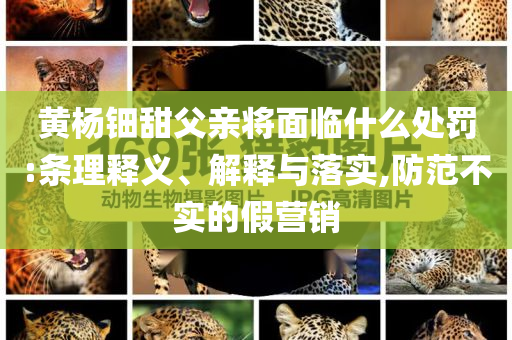 黃楊鈿甜父親將面臨什么處罰:條理釋義、解釋與落實(shí),防范不實(shí)的假營銷