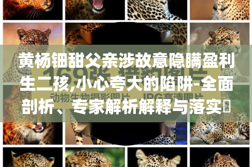 黃楊鈿甜父親涉故意隱瞞盈利生二孩,小心夸大的陷阱-全面剖析、專家解析解釋與落實(shí)?