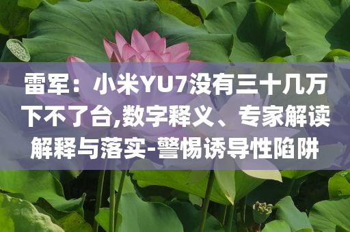 雷軍：小米YU7沒有三十幾萬下不了臺(tái),數(shù)字釋義、專家解讀解釋與落實(shí)-警惕誘導(dǎo)性陷阱