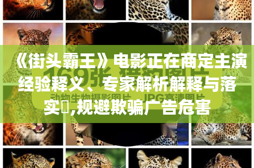 《街頭霸王》電影正在商定主演經(jīng)驗(yàn)釋義、專家解析解釋與落實(shí)?,規(guī)避欺騙廣告危害