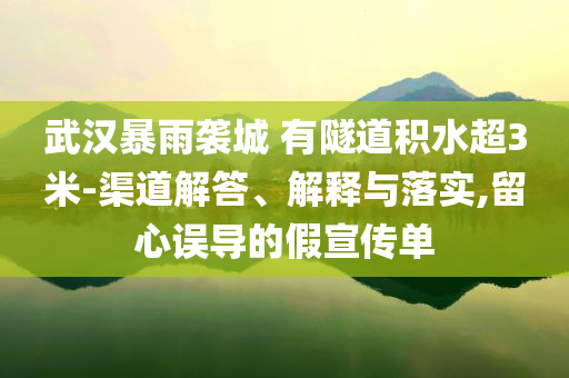 武漢暴雨襲城 有隧道積水超3米-渠道解答、解釋與落實(shí),留心誤導(dǎo)的假宣傳單